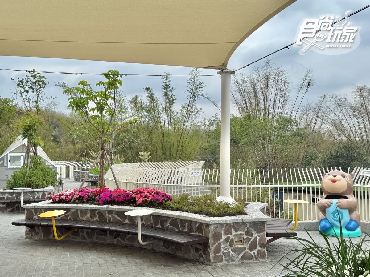 高雄最新「野森動物學校」開箱！萌寵動物近距離互動超幸福，餐飲設施一次看