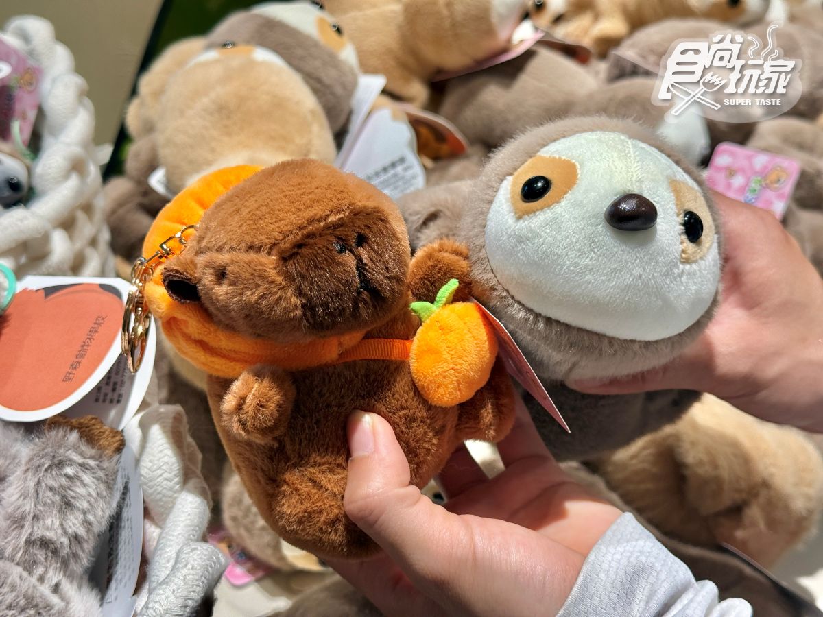 高雄最新「野森動物學校」開箱！萌寵動物近距離互動超幸福，餐飲設施一次看