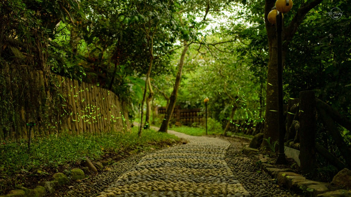 新店賞螢秘境！百年農場超Chill玩法：採茶、吃冰淇淋、住進森林露營車