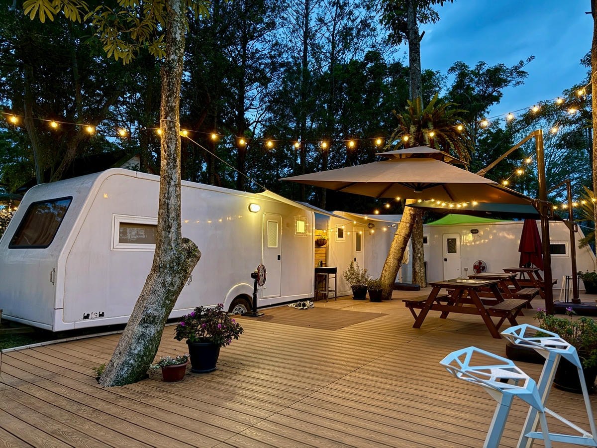 新店賞螢秘境！百年農場超Chill玩法：採茶、吃冰淇淋、住進森林露營車