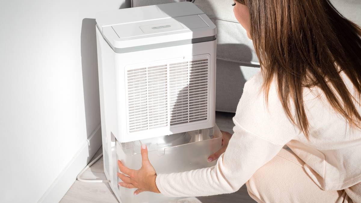 室內曬衣服有臭味？達人教戰除濕機搭配「它」效果驚人，省電、快乾又澎鬆