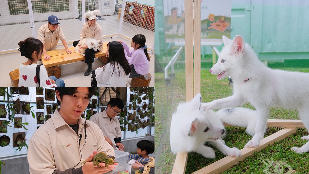 連假別再問去哪！2026全台11個新景點：巨大氦氣球、馬賽克城堡、小白狐抱抱