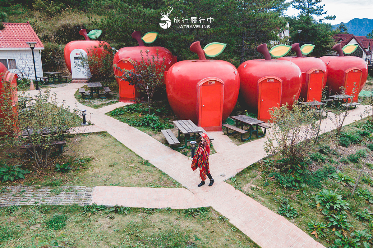 2026全台海芋地圖！桃園14萬株彩色花海美瘋，竹子湖、福壽山高山仙境一次看