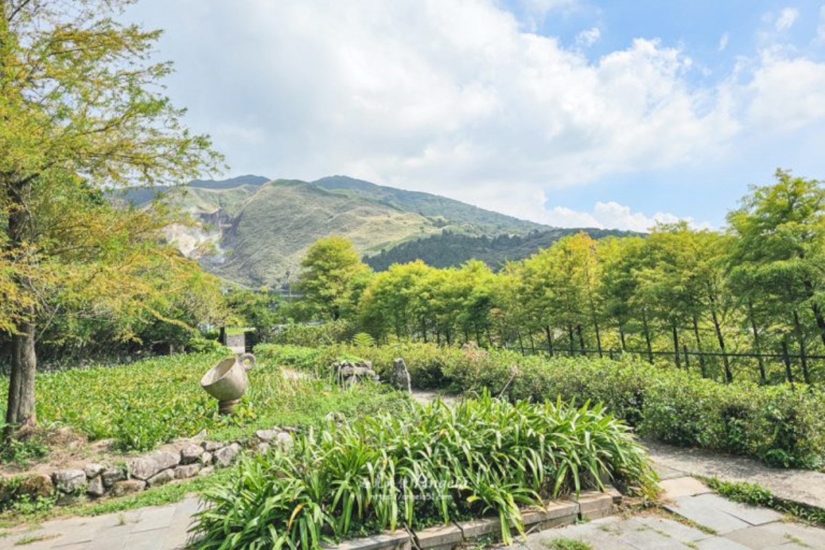 2026全台海芋地圖！桃園14萬株彩色花海美瘋，竹子湖、福壽山高山仙境一次看