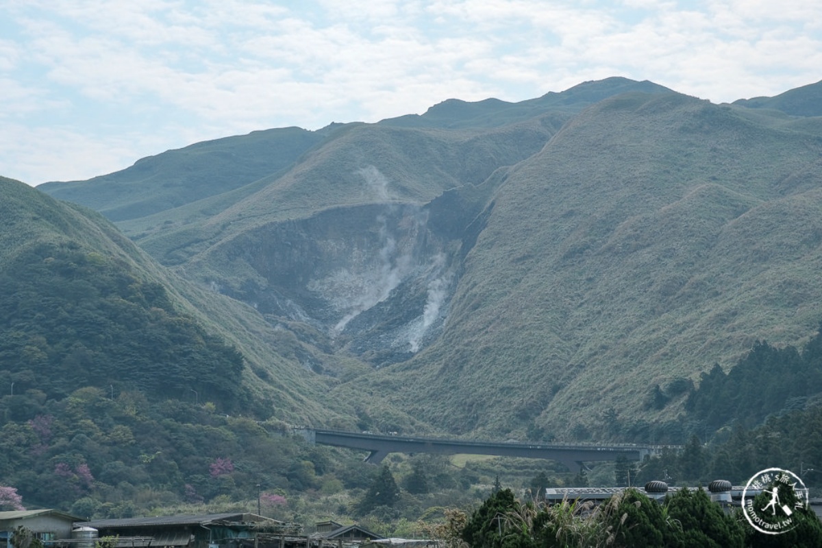 2026全台海芋地圖！桃園14萬株彩色花海美瘋，竹子湖、福壽山高山仙境一次看