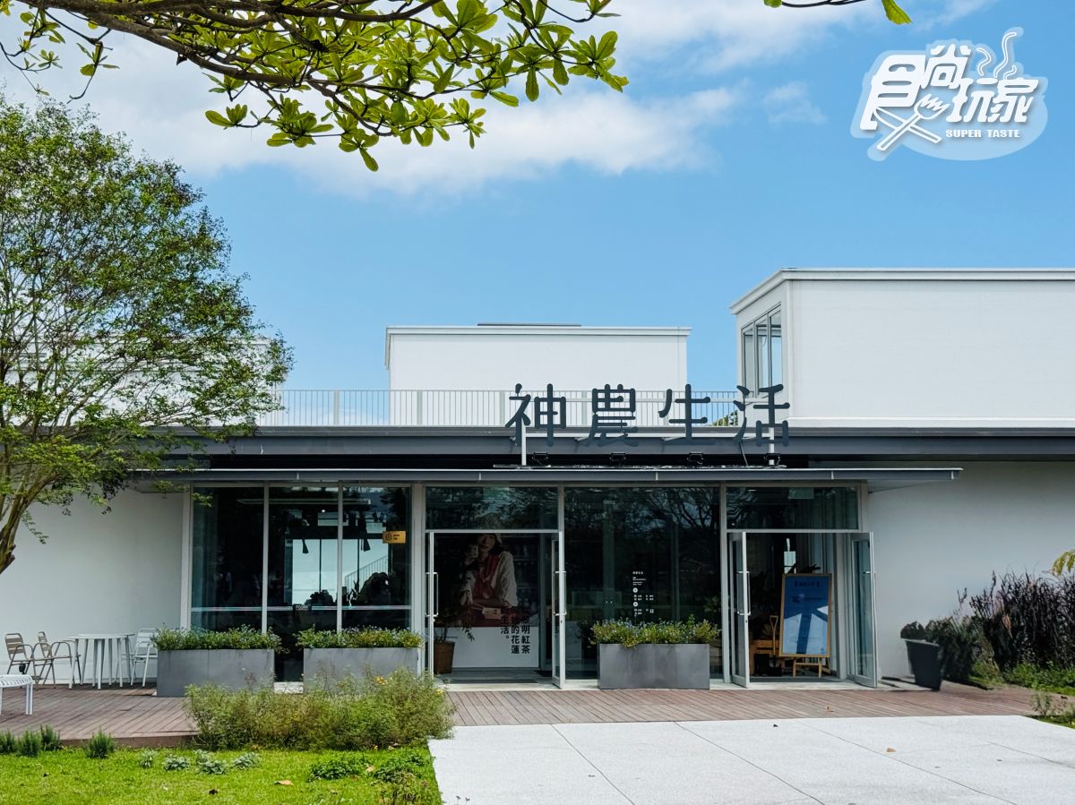 摩洛哥風「粉紅城堡」在台灣！理想PAARK水岸生活：療癒落羽松森林裡吃美食