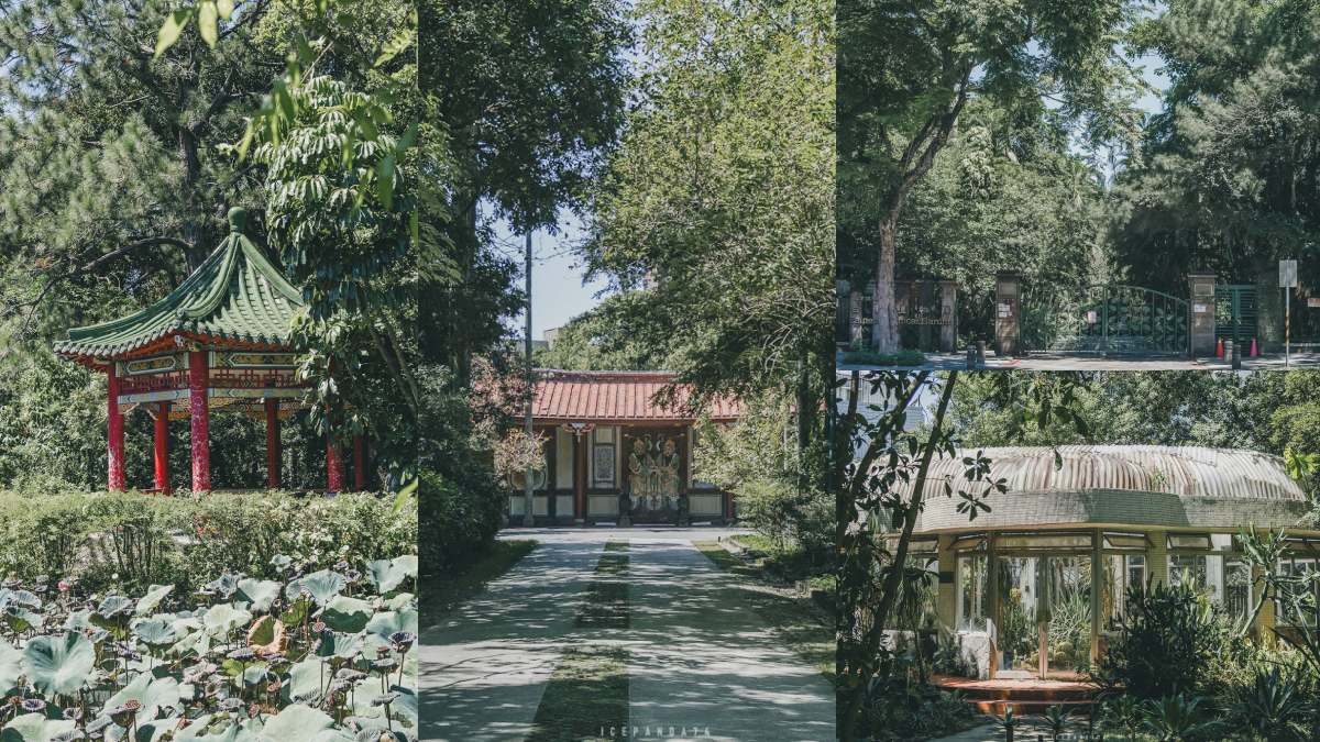 台北南機場一日散策!免門票植物園小森林、史博館翻新必看,夜市10家美食吃起來 台北南機場一日散策!免門票植物園小森林、史博館翻新必看,夜市10家美食吃起來