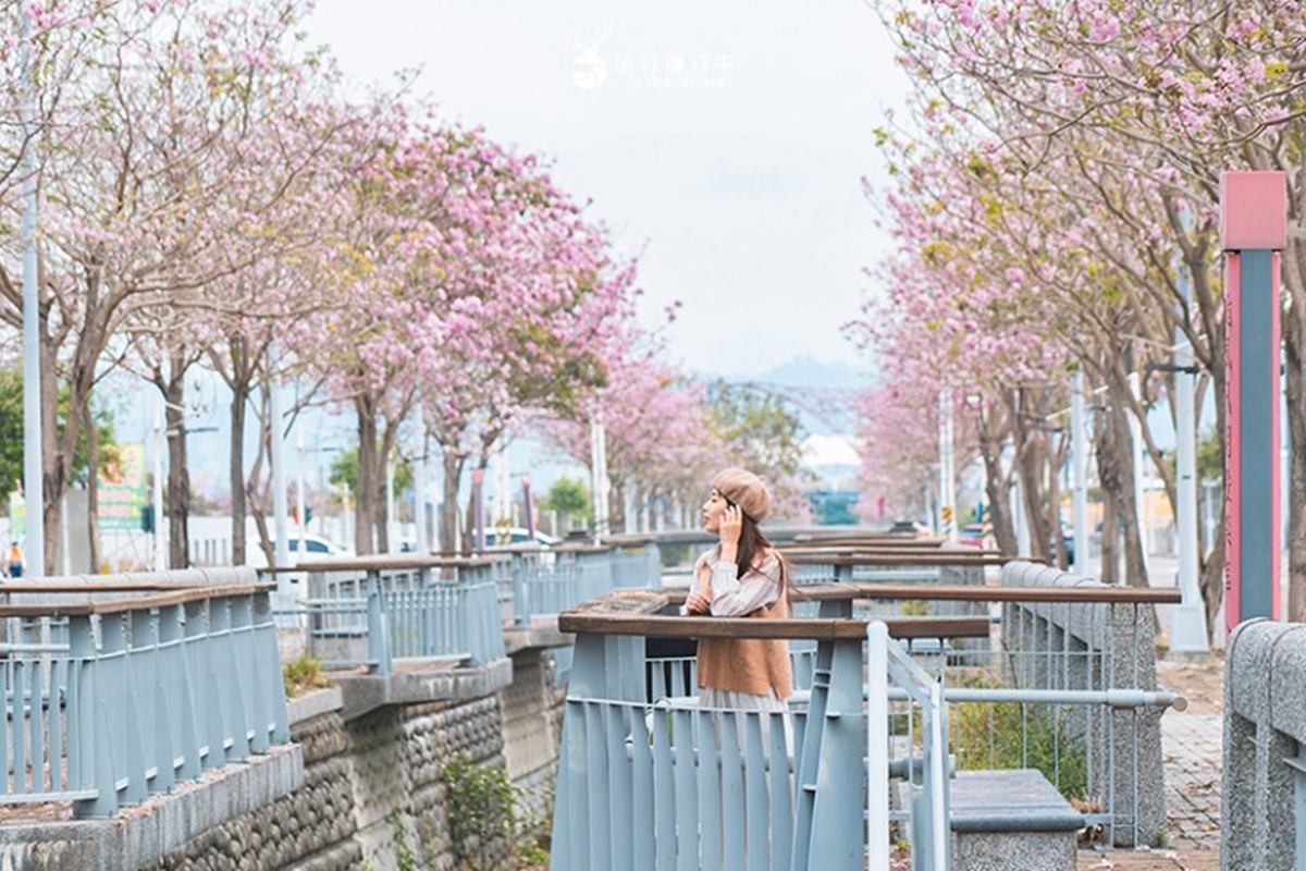 2026北屯美食地圖！漢神百貨周邊20間餐廳，順遊粉紅花海，台中約會新地標