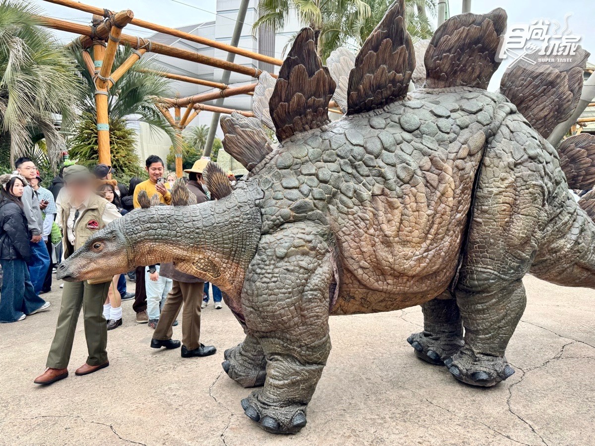 「日本環球影城25週年」這樣玩！25隻皮卡丘遊行、周邊美食、近距離恐龍互動