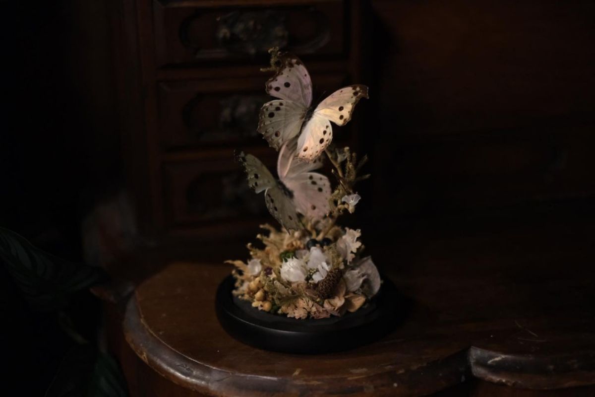 台南「野餐市集」連續３天免費逛！超過200家風格品牌、日本咖啡名店來台灣