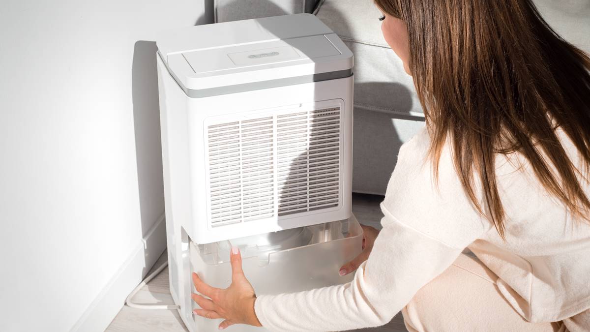 人在房間可開除濕機？台電給答案「濕度設定這範圍」最安全，搭配１物效率高