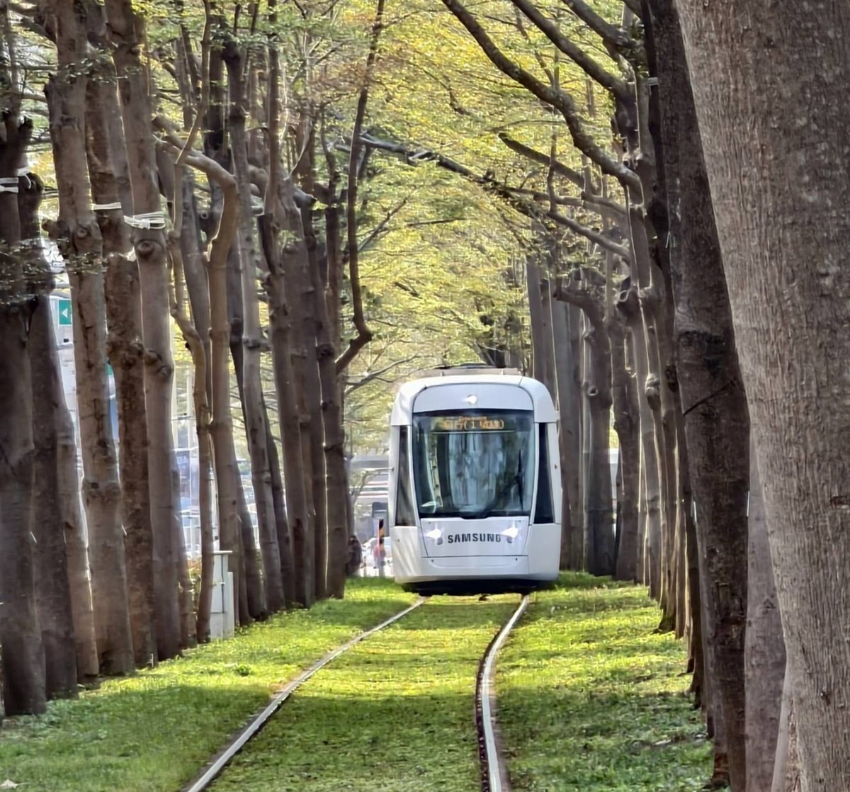 高雄最新免費打卡景點!舊家電變摩天輪、旋轉木馬,泡水計程車紅到上新聞 高雄最新免費打卡景點!舊家電變摩天輪、旋轉木馬,泡水計程車紅到上新聞
