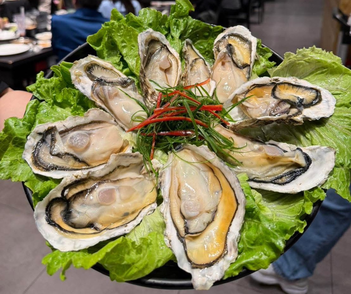 469元雞翅山＋金莎吃到飽！「高CP值鍋物」暢吃百款自助吧，免費送生蠔