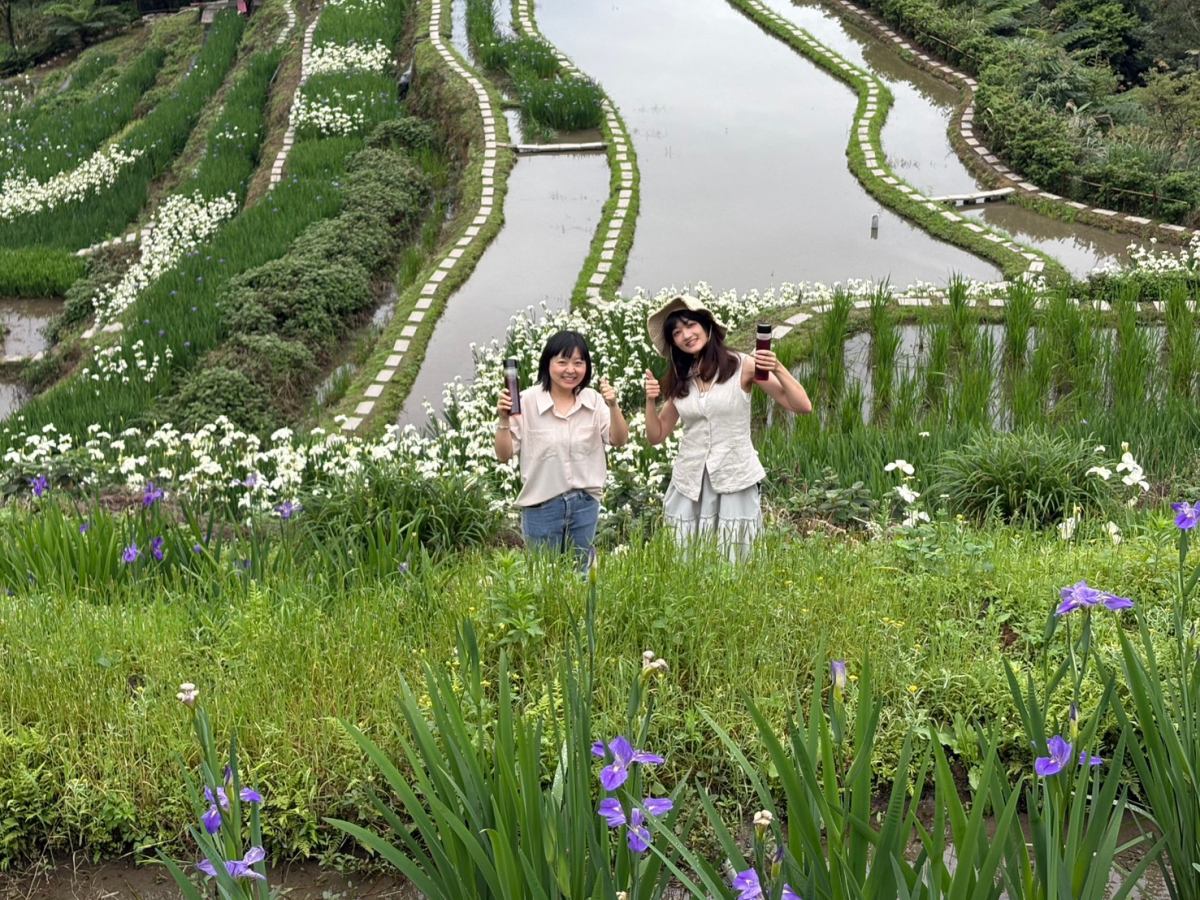 全台唯一百年梯田花海!石門嵩山鳶尾花季登場,免門票拍出梵谷名畫紫白浪漫 全台唯一百年梯田花海!石門嵩山鳶尾花季登場,免門票拍出梵谷名畫紫白浪漫