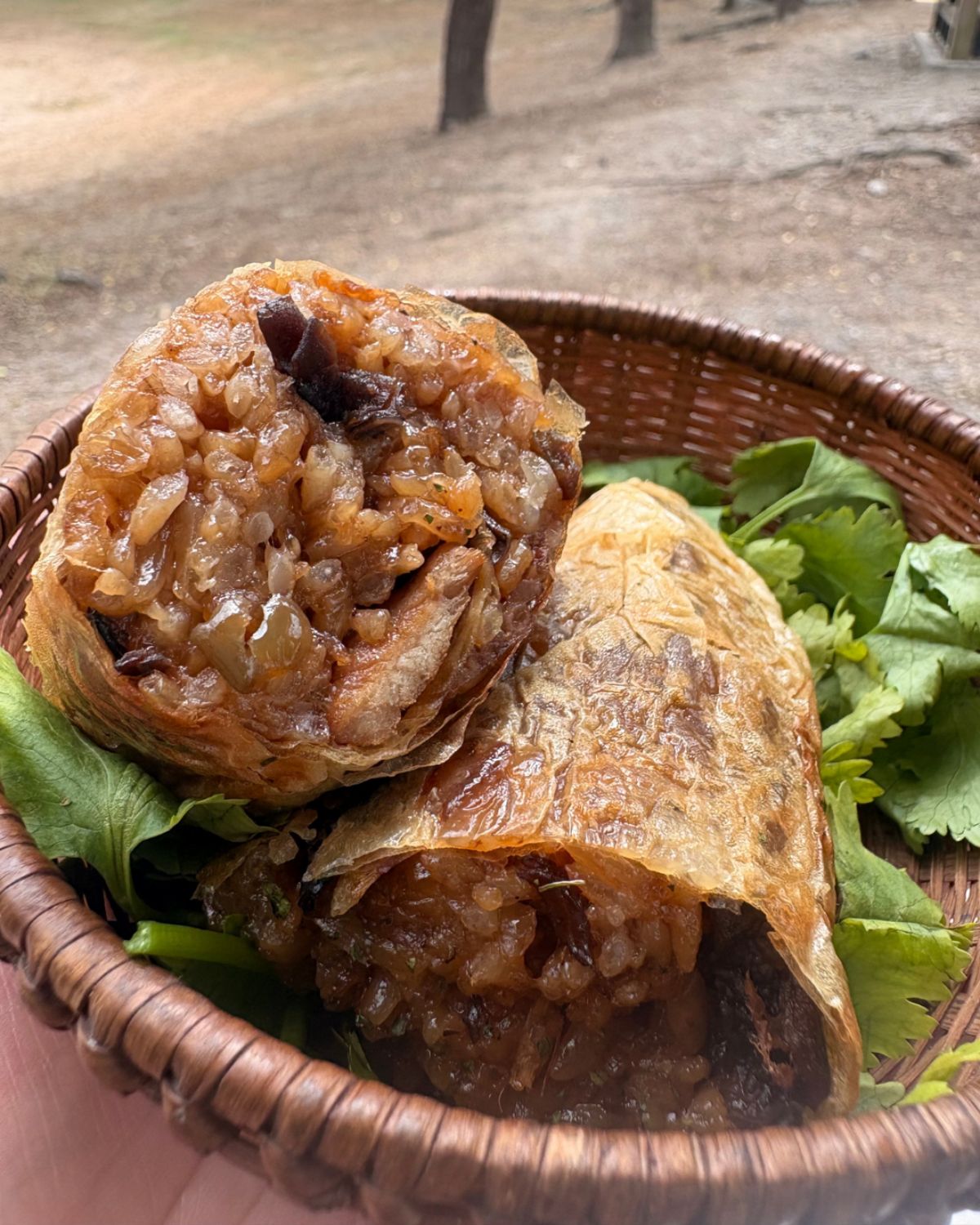 多達170家攤位可逛！春季最大「蔬食市集」在嘉義，綠色飲食響應世界地球日