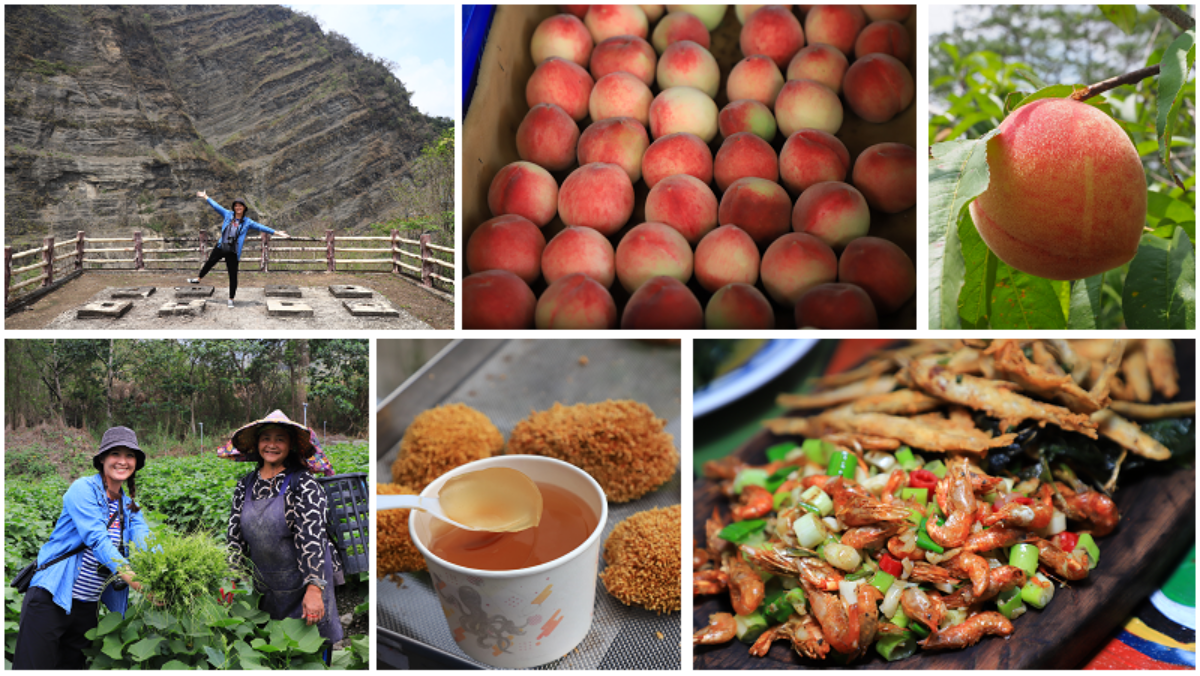 螢火蟲季６玩法！划SUP＋看螢河、住露營車賞五月雪，親子放電、美拍行程一次收