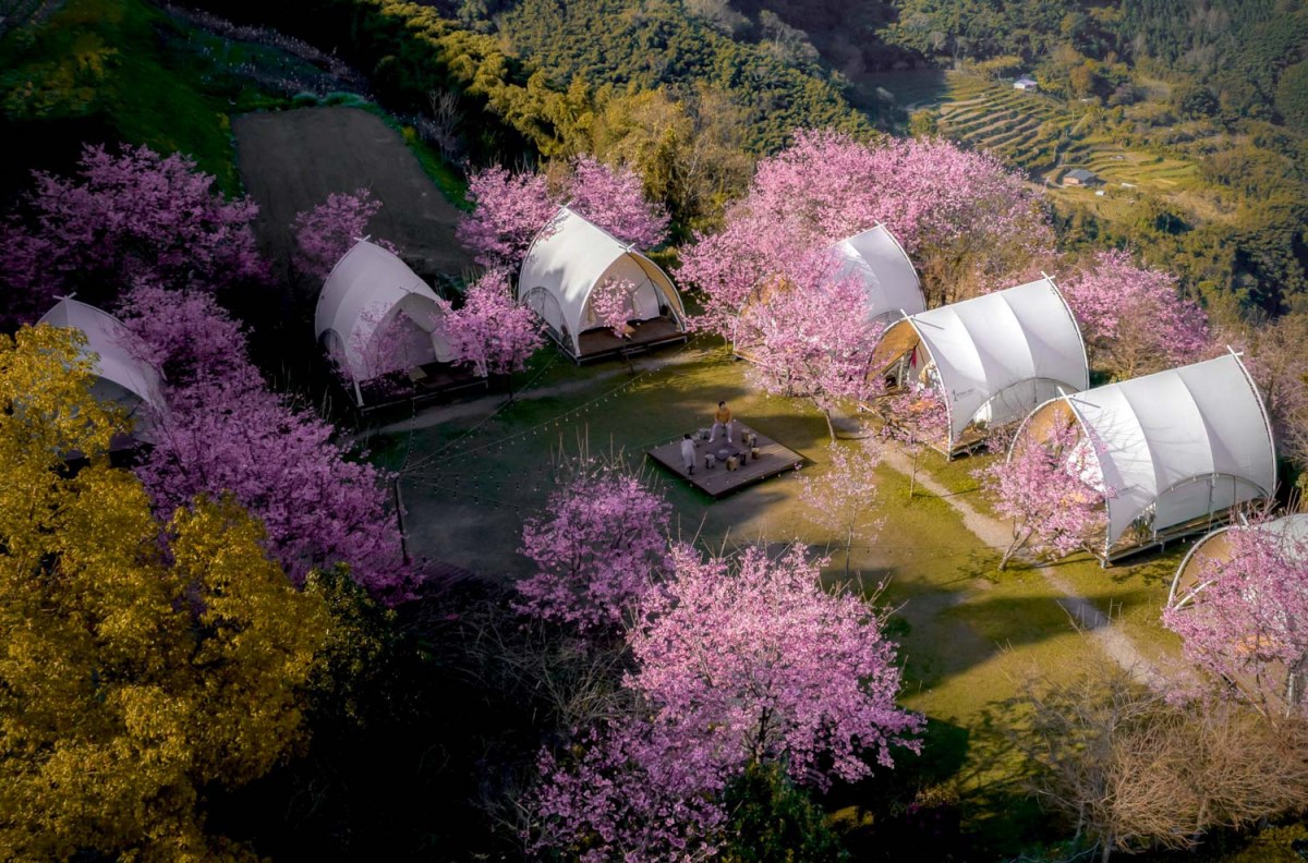 螢火蟲季６玩法！划SUP＋看螢河、住露營車賞五月雪，親子放電、美拍行程一次收