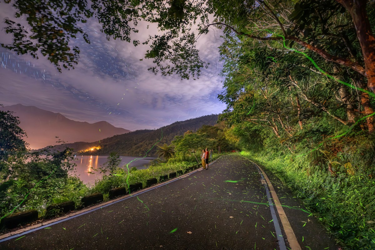 螢火蟲季６玩法！划SUP＋看螢河、住露營車賞五月雪，親子放電、美拍行程一次收