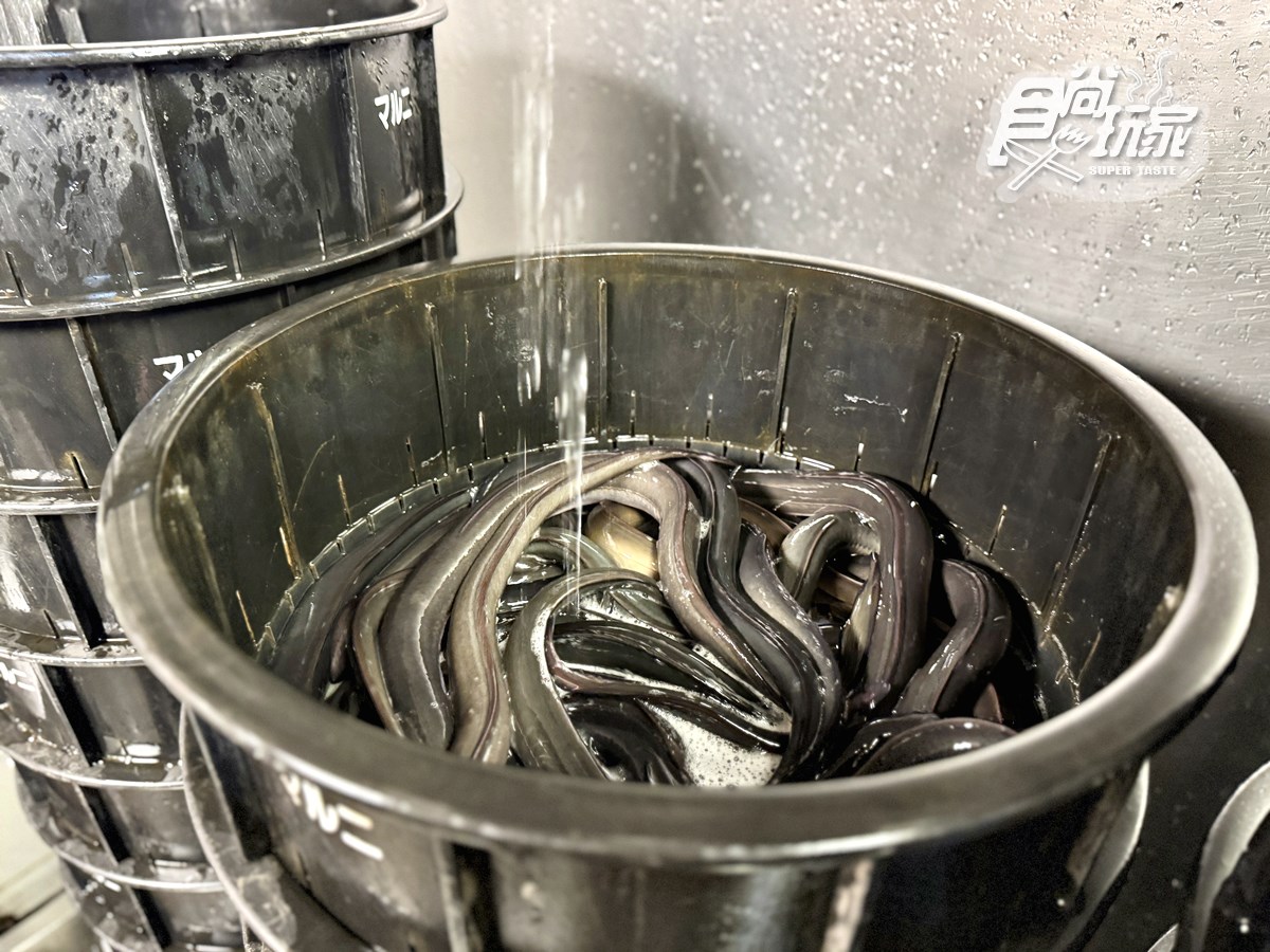 全台首間「日本百年鰻魚店」！必點巨無霸烤鰻、爆汁玉子燒，鰻魚定食買一送一