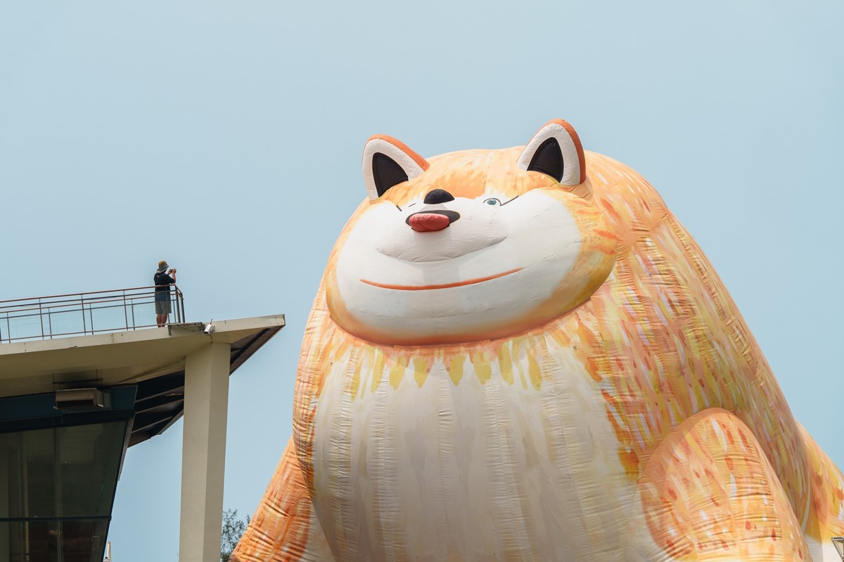 巨大胖博美狗狗出沒！「看海美術館」全新展覽免費拍，療癒動物雕塑搶先看