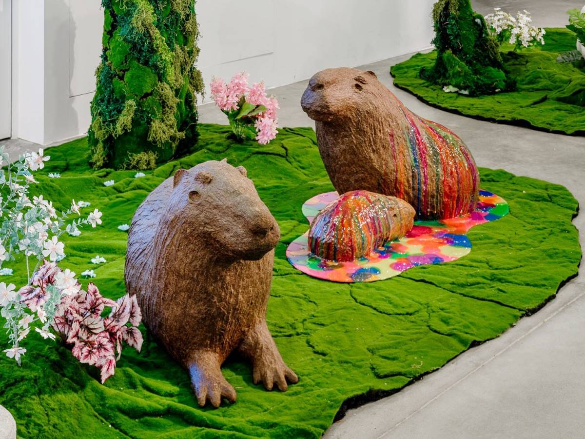 巨大胖博美狗狗出沒！「看海美術館」全新展覽免費拍，療癒動物雕塑搶先看