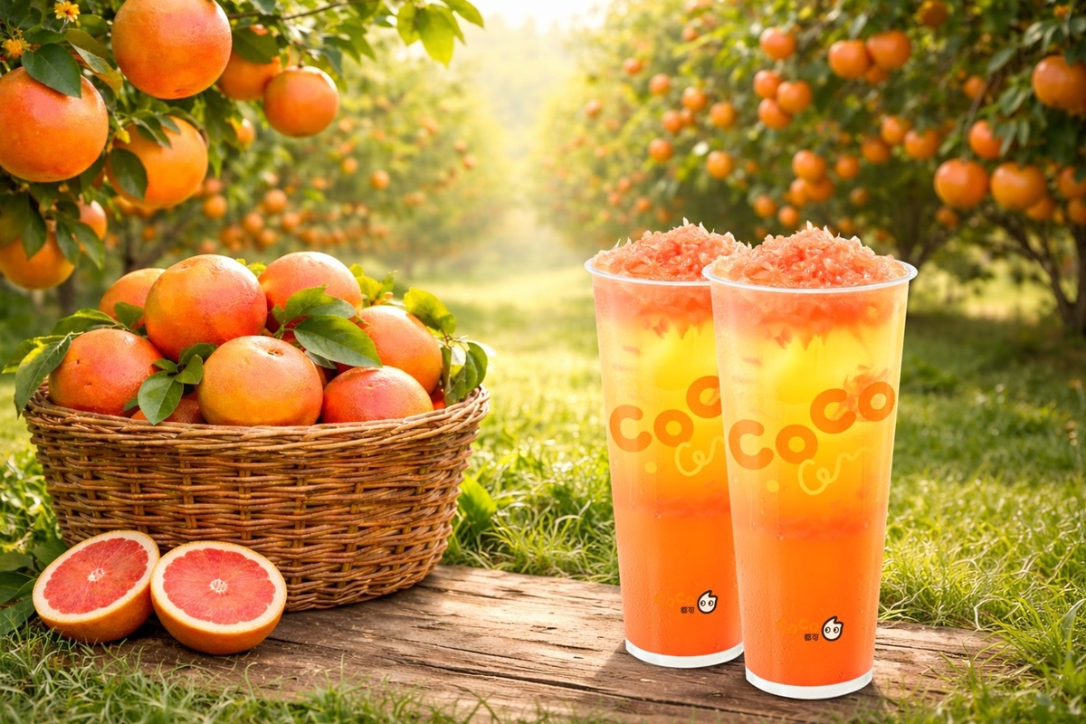 CoCo２杯大珍奶66元！五桐號全新「麝香葡萄飲」７折喝，大苑子買一送一