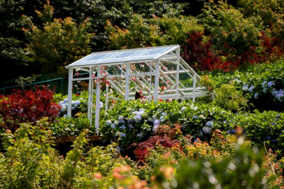 全台繡球花景點推薦：８千坪夢幻花海、山林秘境、歐式莊園小火車必打卡