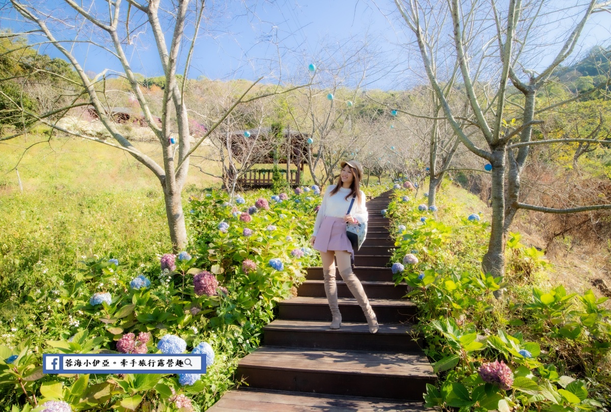 全台繡球花景點推薦：８千坪夢幻花海、山林秘境、歐式莊園小火車必打卡