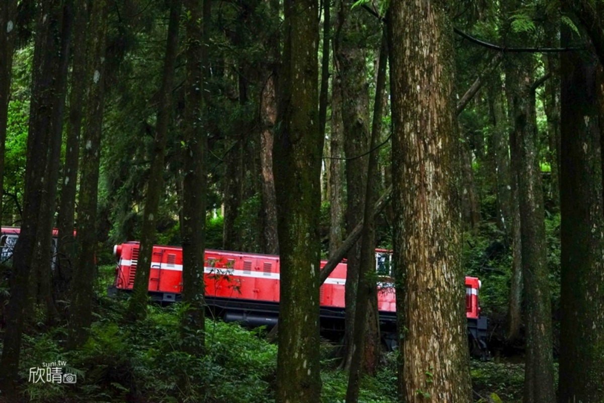 全台繡球花景點推薦：８千坪夢幻花海、山林秘境、歐式莊園小火車必打卡