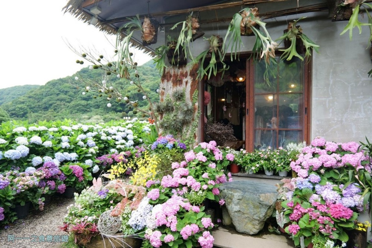 全台繡球花景點推薦：８千坪夢幻花海、山林秘境、歐式莊園小火車必打卡