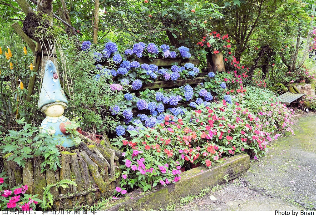 全台繡球花景點推薦：８千坪夢幻花海、山林秘境、歐式莊園小火車必打卡