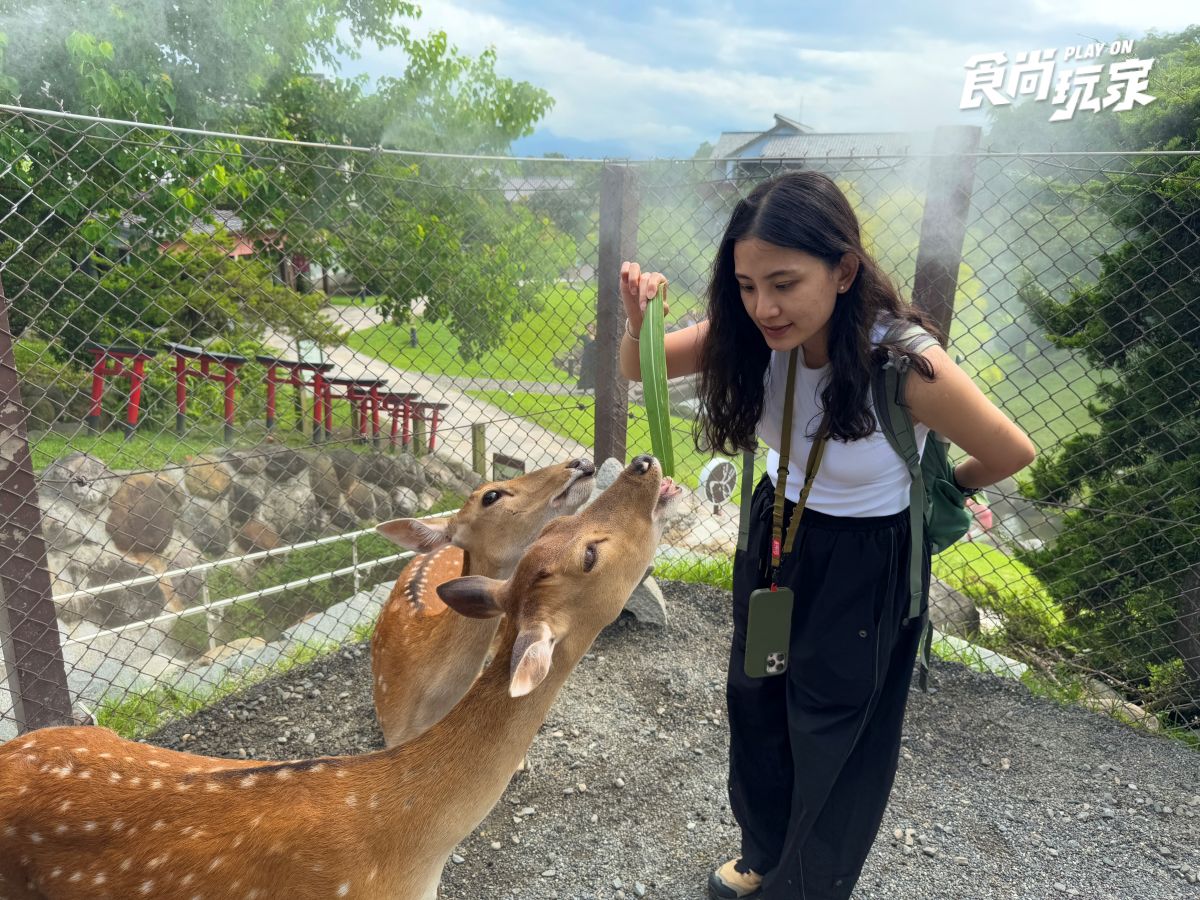 近距離互動水豚寶寶！入住宜蘭綠舞送斑比山丘門票＋禮包，春季旅展優惠開搶