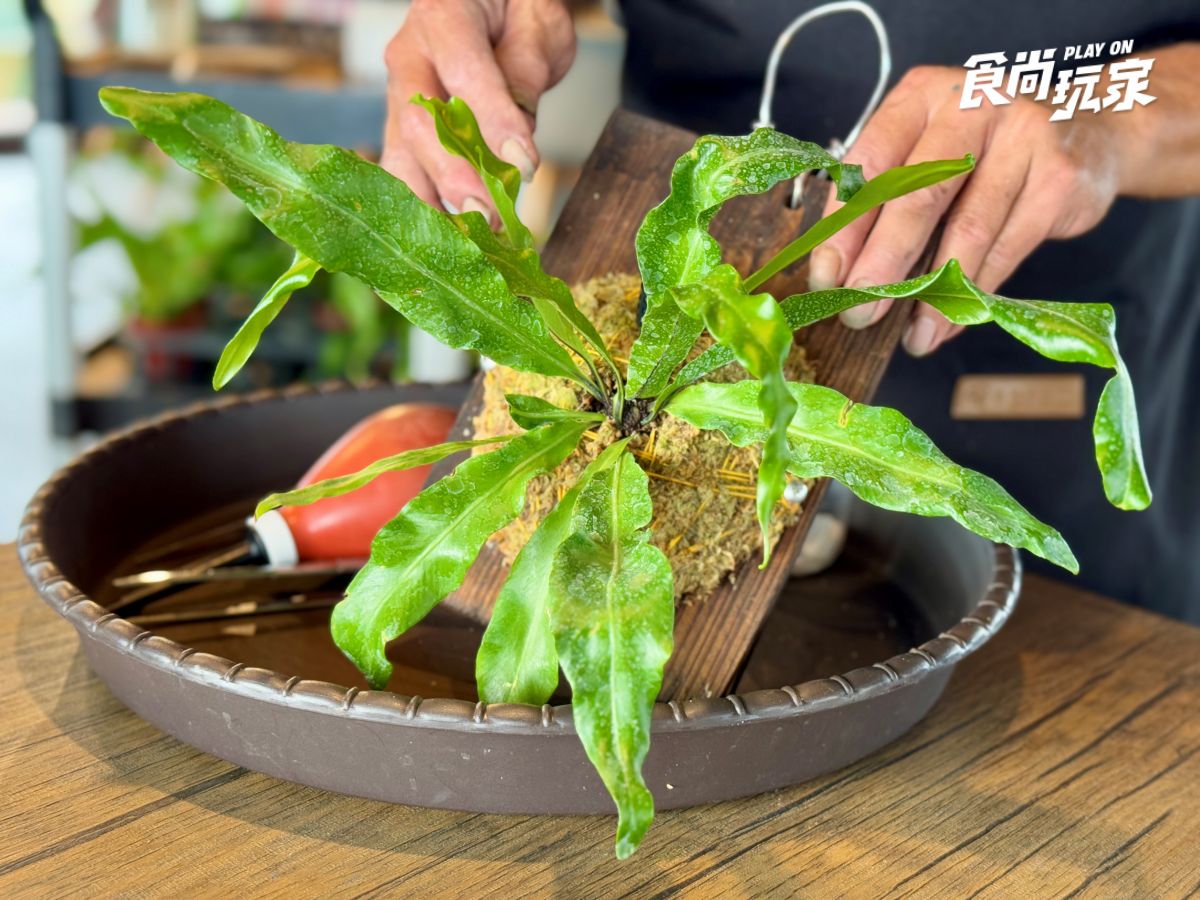 近距離互動水豚寶寶！入住宜蘭綠舞送斑比山丘門票＋禮包，春季旅展優惠開搶