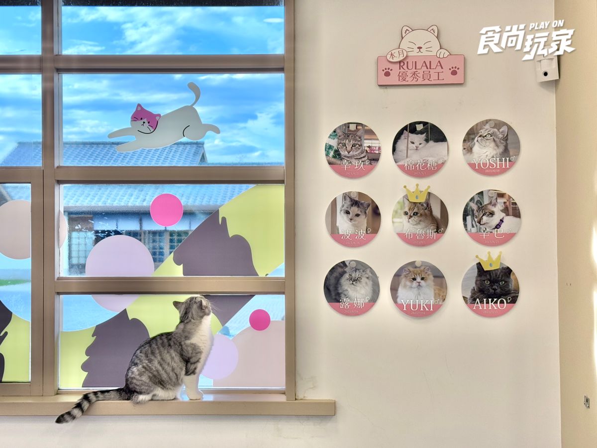 近距離互動水豚寶寶！入住宜蘭綠舞送斑比山丘門票＋禮包，春季旅展優惠開搶