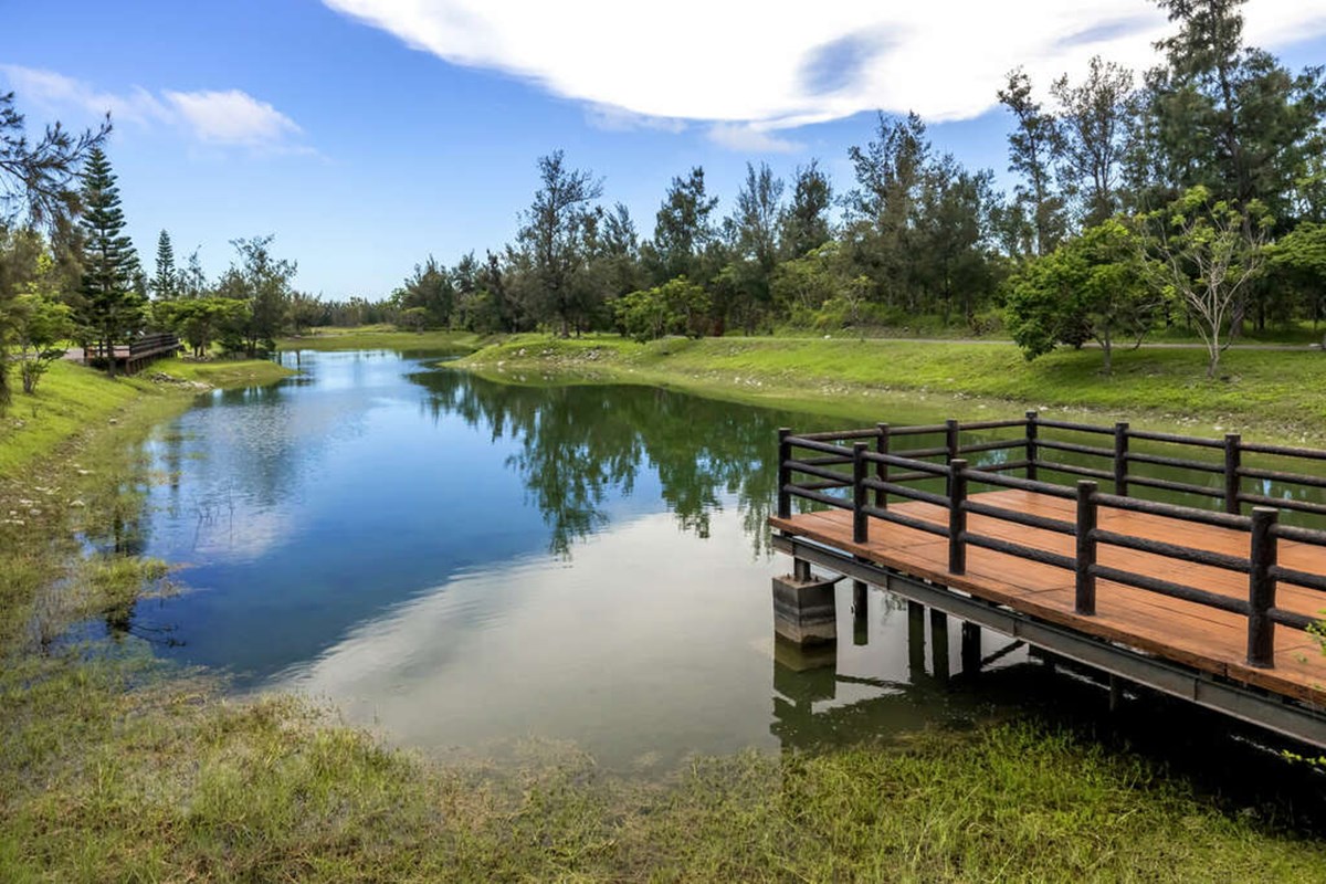 「台東森林公園」這天起免費入園！280公頃秘境暢遊，必衝琵琶湖、綠色隧道