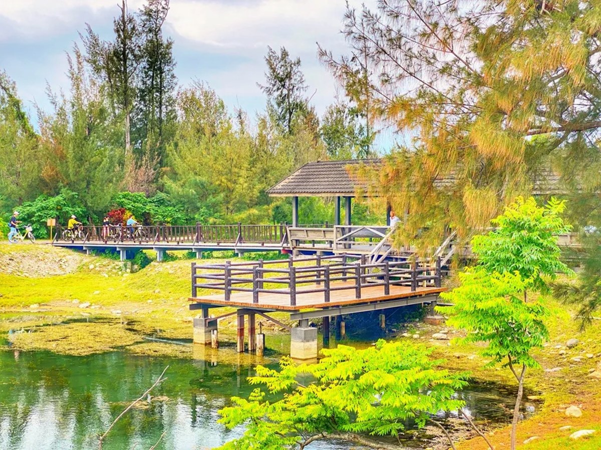 「台東森林公園」這天起免費入園！280公頃秘境暢遊，必衝琵琶湖、綠色隧道