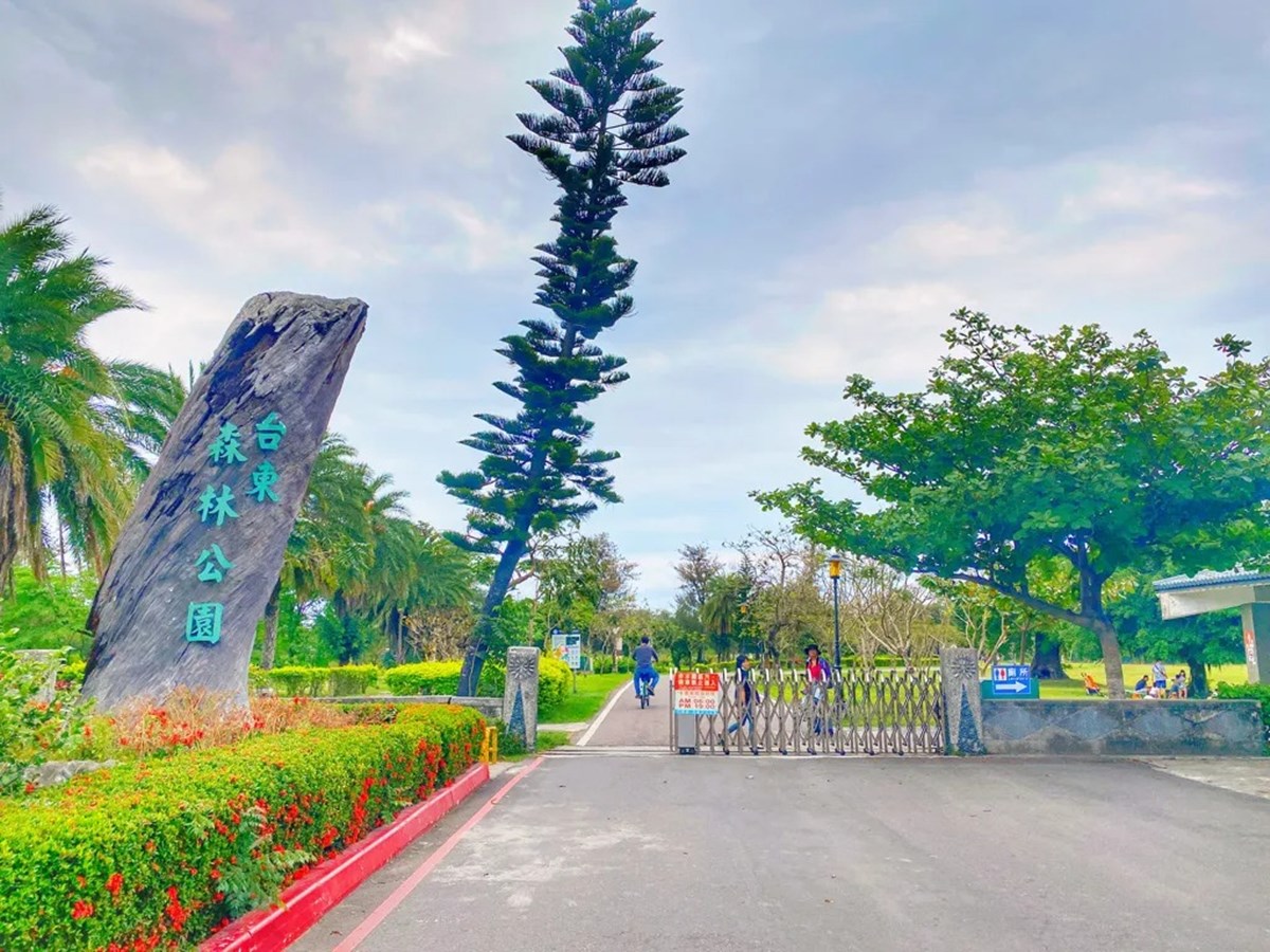 「台東森林公園」這天起免費入園！280公頃秘境暢遊，必衝琵琶湖、綠色隧道