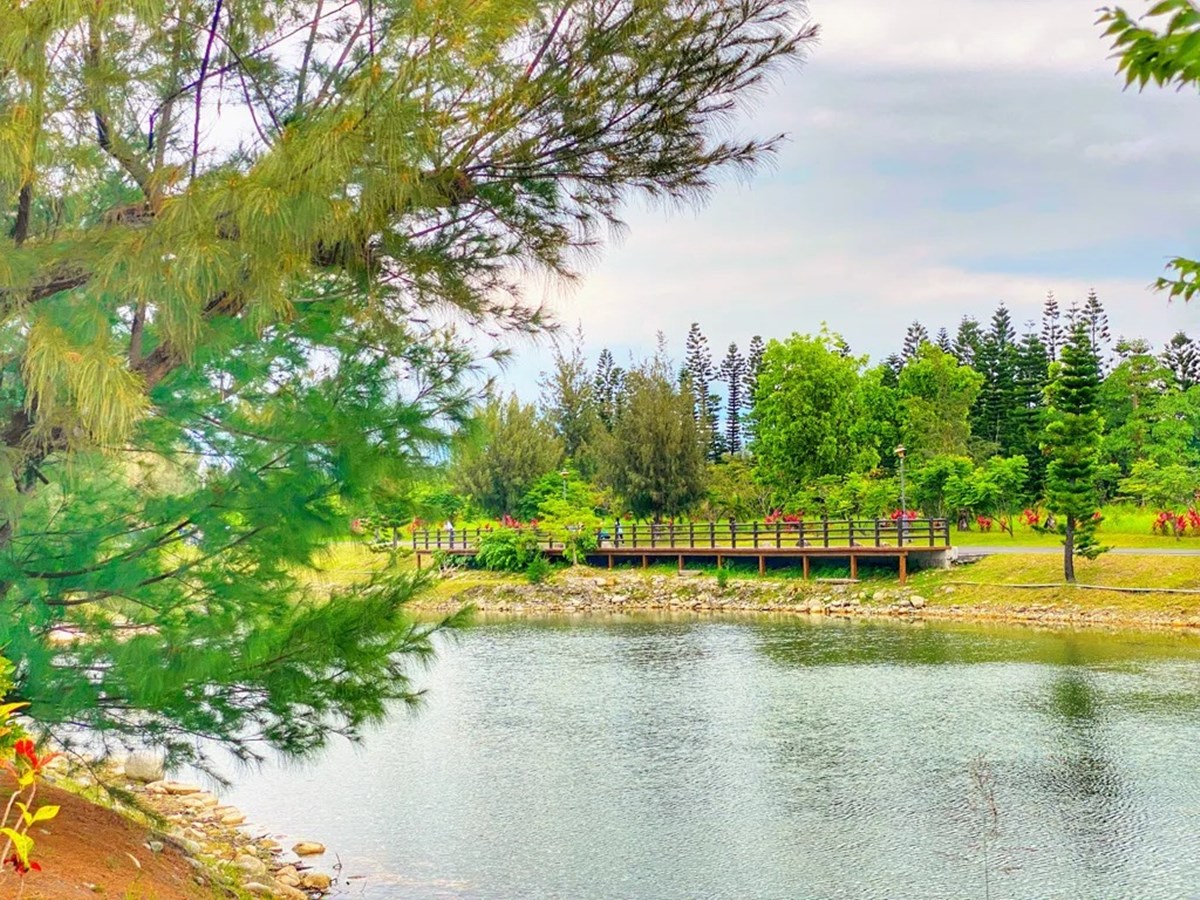 「台東森林公園」這天起免費入園！280公頃秘境暢遊，必衝琵琶湖、綠色隧道