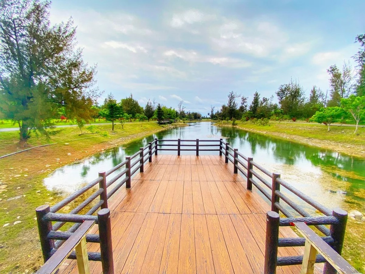 「台東森林公園」這天起免費入園！280公頃秘境暢遊，必衝琵琶湖、綠色隧道