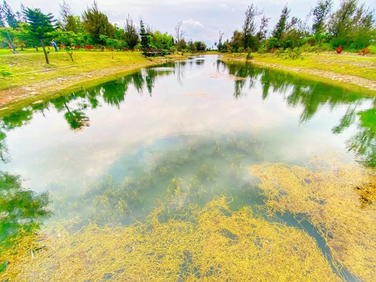 「台東森林公園」這天起免費入園！280公頃秘境暢遊，必衝琵琶湖、綠色隧道