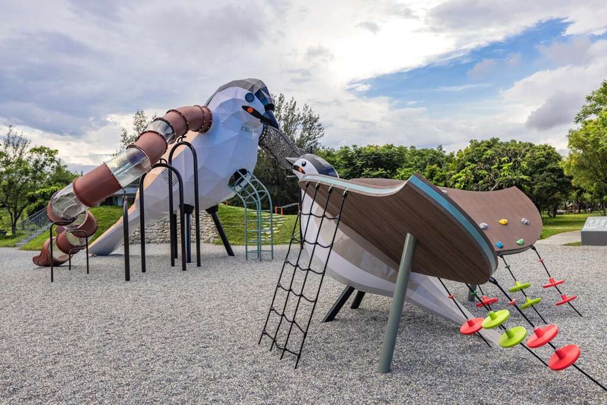 「台東森林公園」這天起免費入園！280公頃秘境暢遊，必衝琵琶湖、綠色隧道