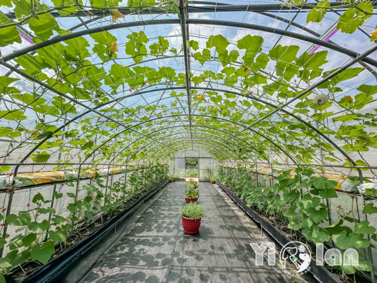 新北人限定優惠！「宜蘭綠色博覽會」全票250元變100元，一票玩遍18展區