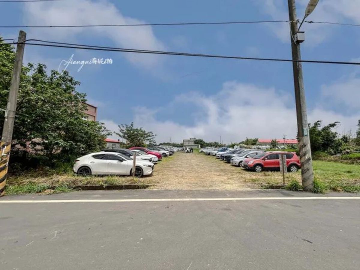 仙氣純白「百合花海」在桃園！２萬朵百合母親節前綻放，門票50元盡情拍美照