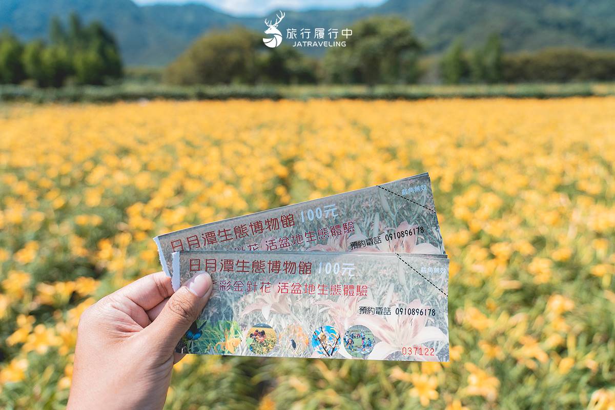 天使的花毯在這！上萬坪七彩金針花、紫色馬鞭草花海美翻，門票只要100元