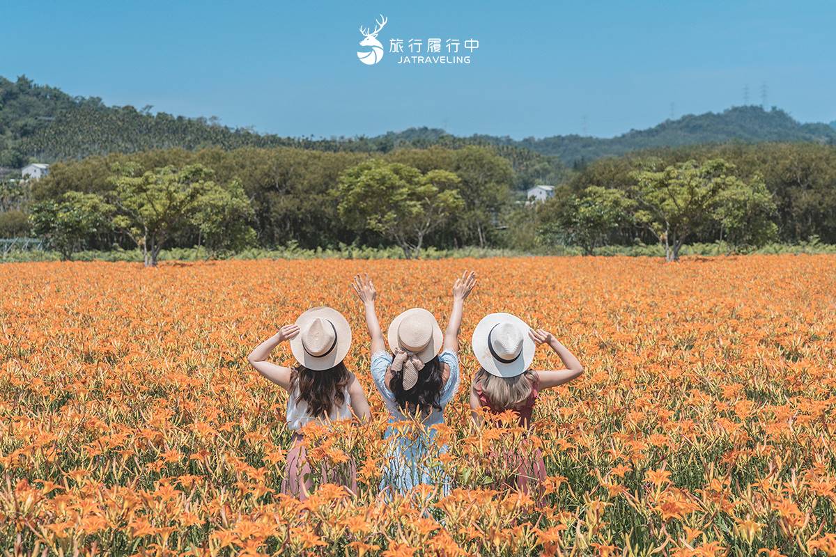 天使的花毯在這！上萬坪七彩金針花、紫色馬鞭草花海美翻，門票只要100元