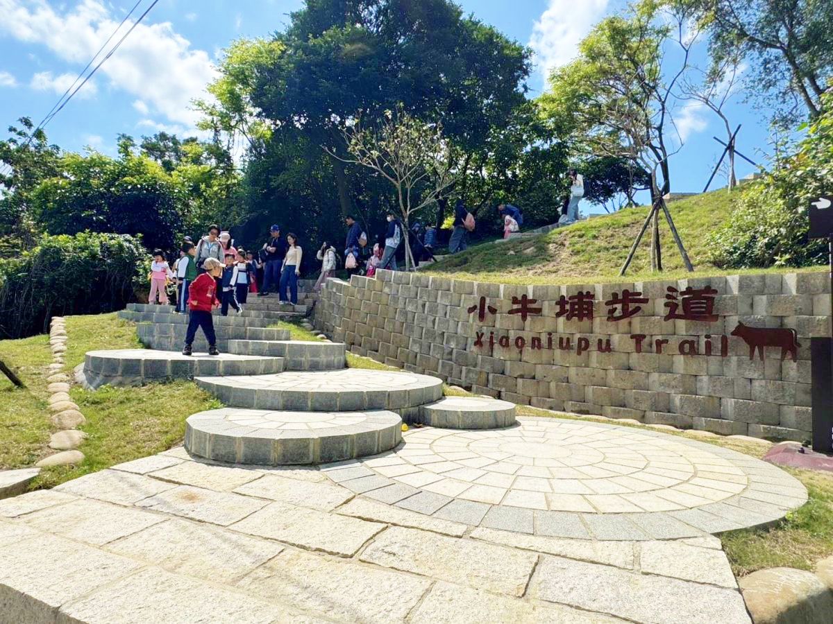 台北全新秘境開放！打卡純白雲朵觀景台、療癒步道，整座城市美景盡收眼底