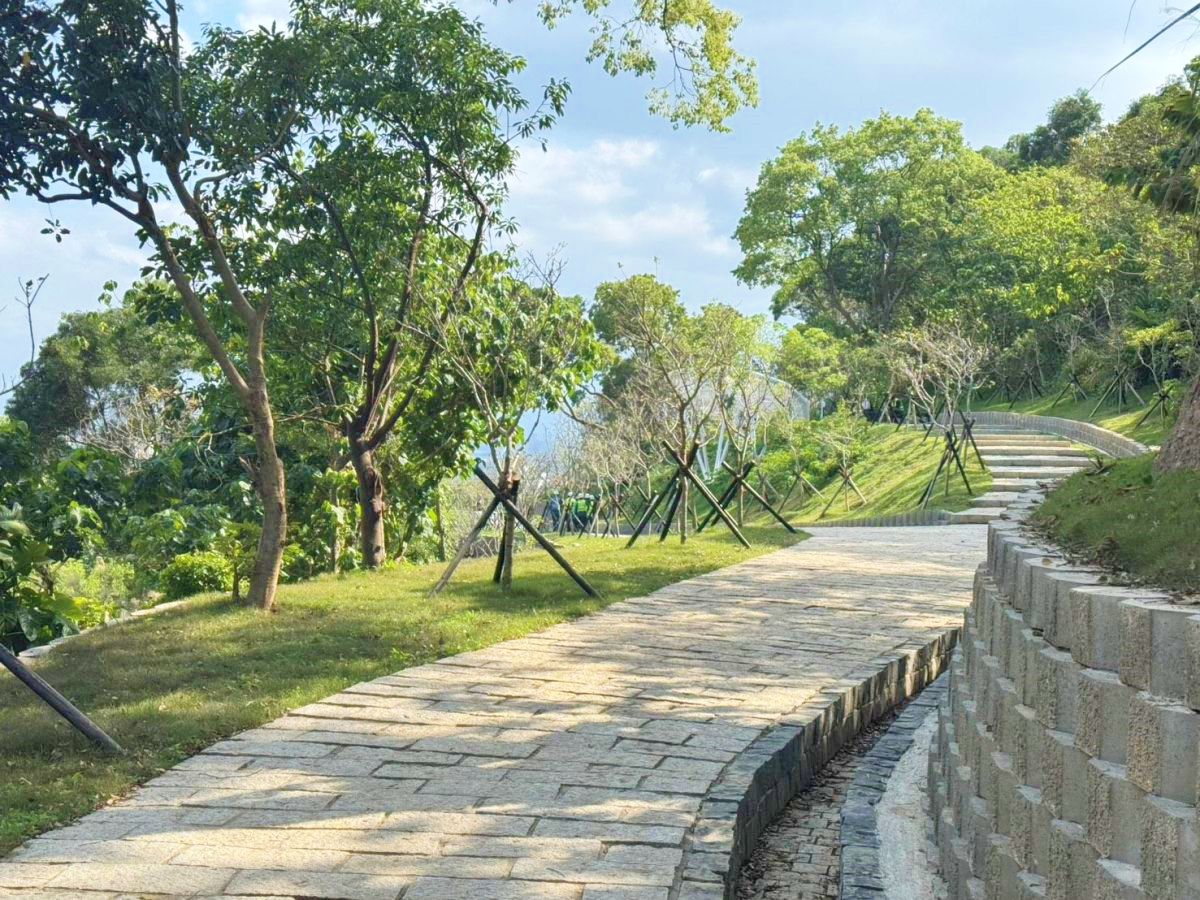 台北全新秘境開放！打卡純白雲朵觀景台、療癒步道，整座城市美景盡收眼底