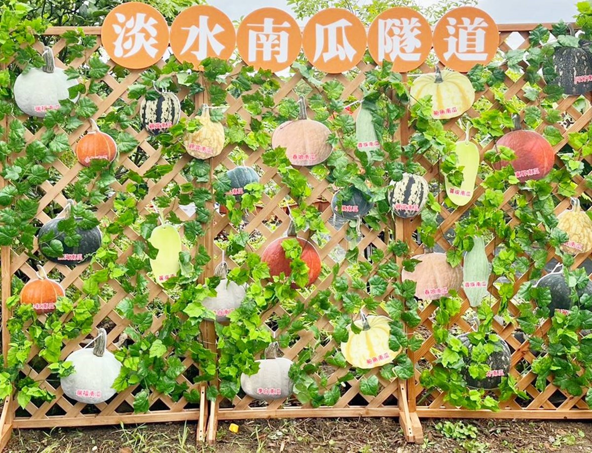 全台最長「南瓜隧道」在新北！５月免費開放參觀，超過30種造型南瓜大集合
