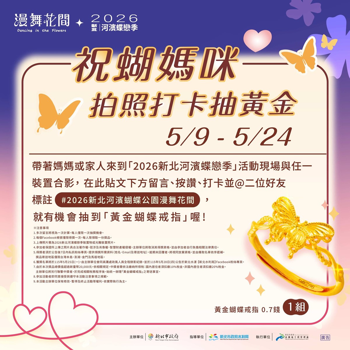 呆萌布丁狗現身新北！板橋最美「蝴蝶花海」點燈，開逛市集、打卡送布丁狗帽