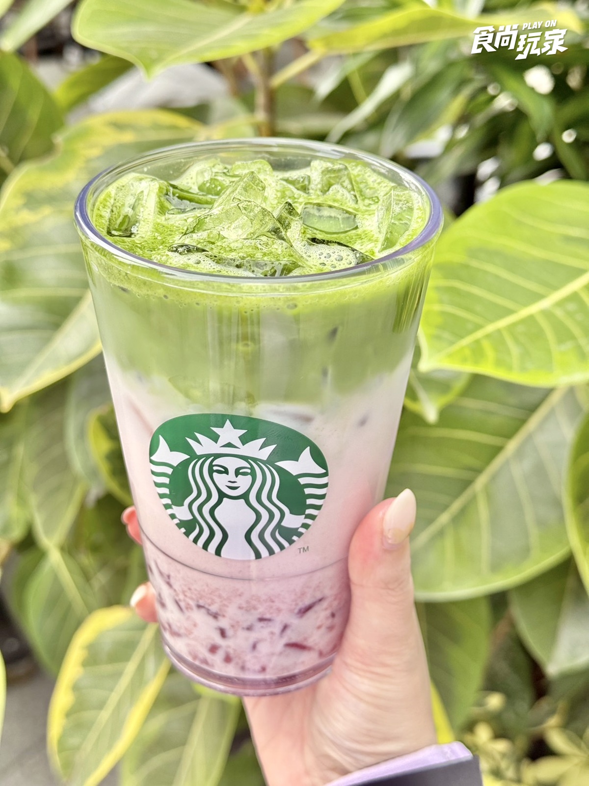 星巴克買一送一！母親節連２天買一送一、外送半價，超人氣「草莓抹茶那堤」回歸